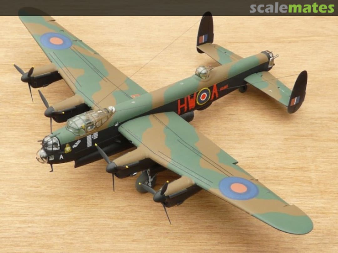 View album, image #1 View album, image #1