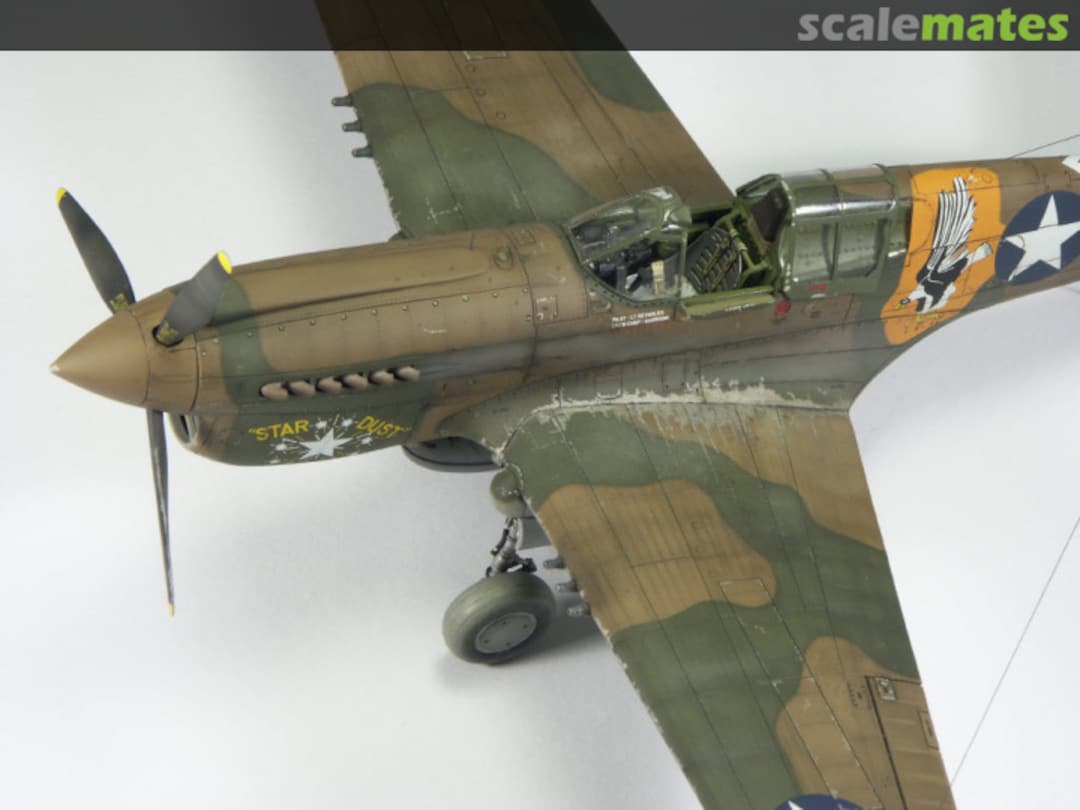 View album, image #41 View album, image #41