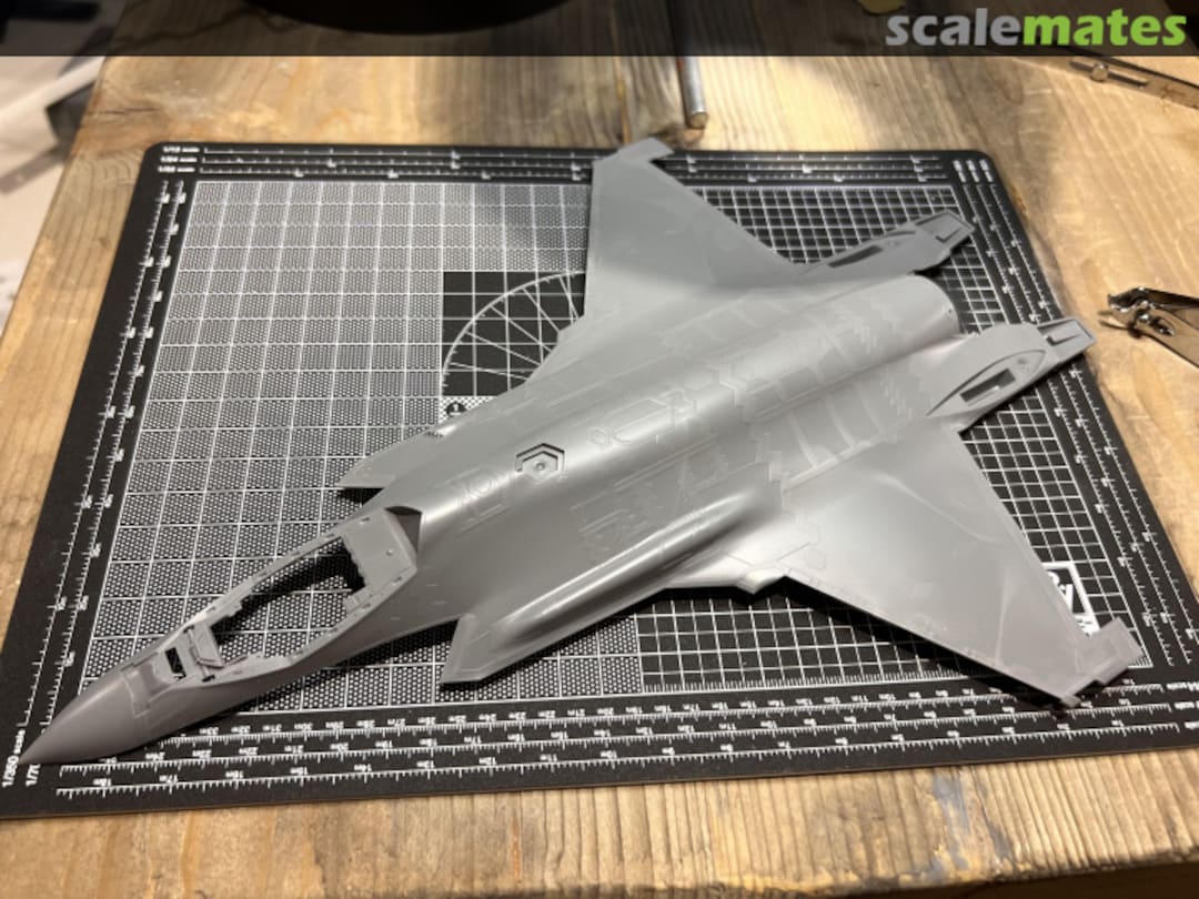 View album, image #1 View album, image #1