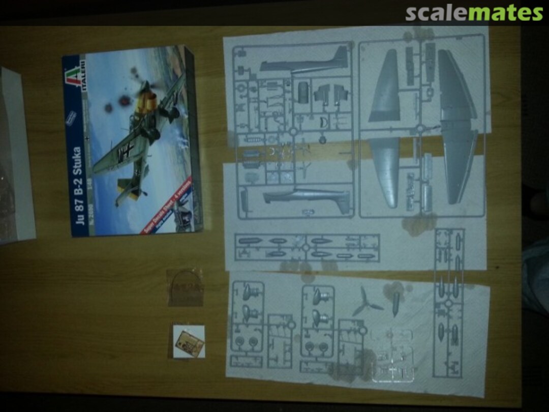 View album, image #1 View album, image #1