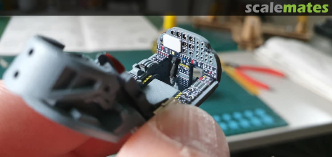 View album, image #9