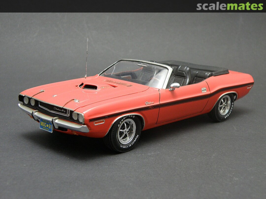 View album, image #1 View album, image #1