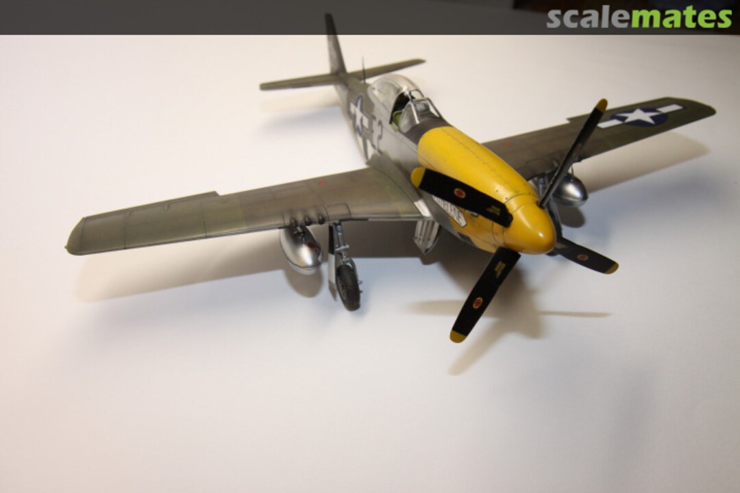 View album, image #1