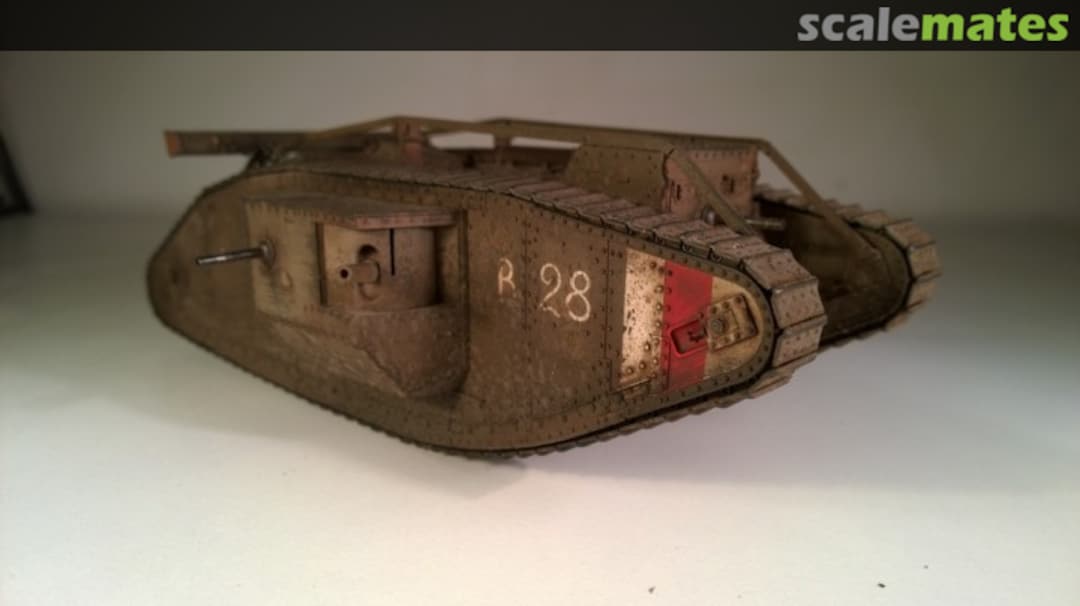 View album, image #8 View album, image #8