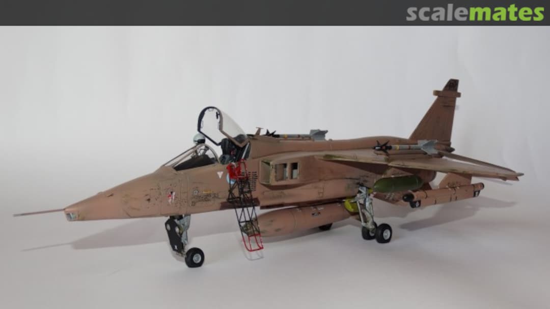 View album, image #1 View album, image #1