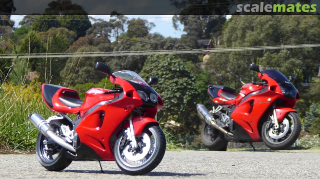 View album, image #1 View album, image #1