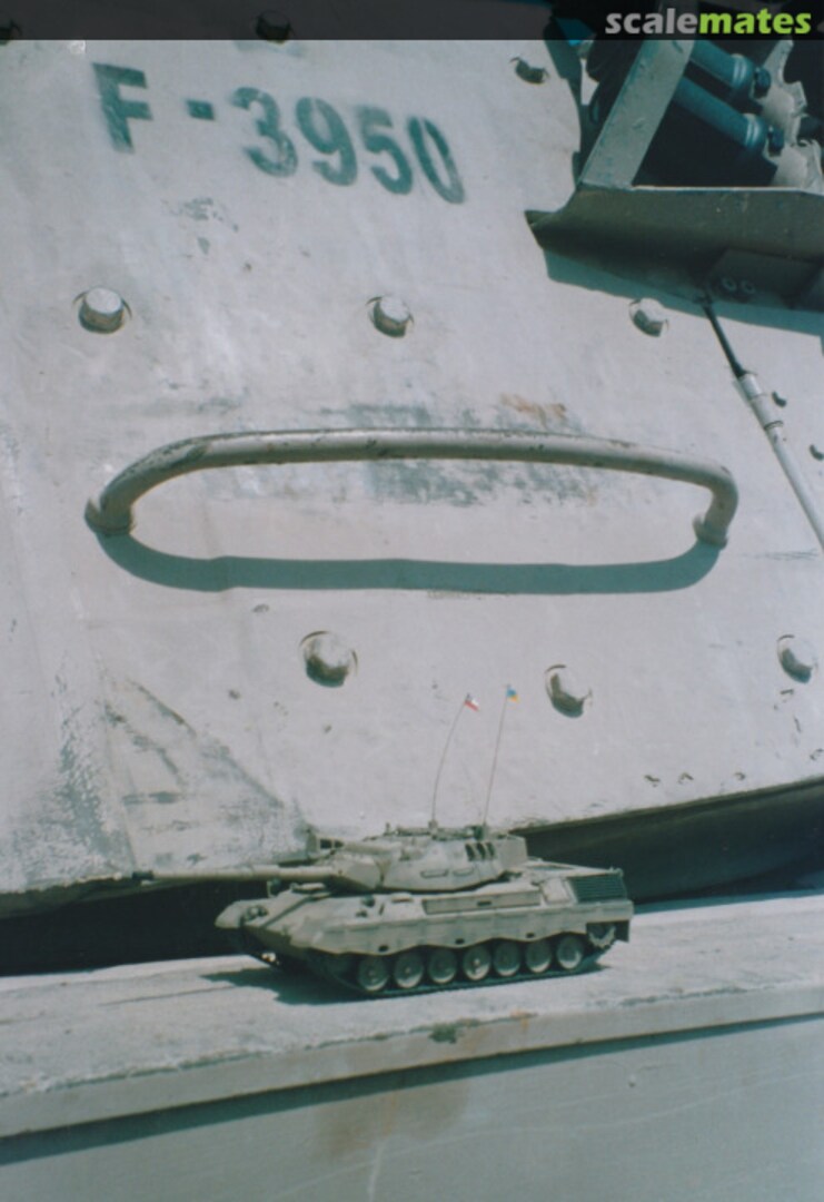 View album, image #8 View album, image #8