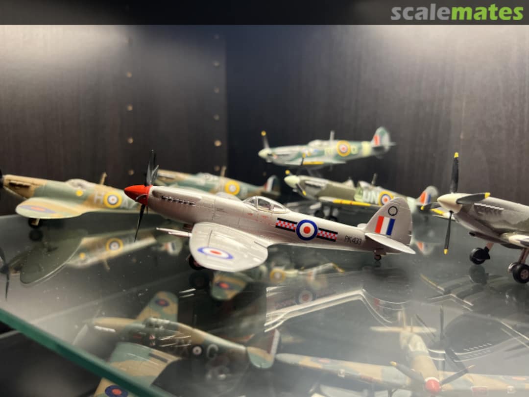 View album, image #17 View album, image #17