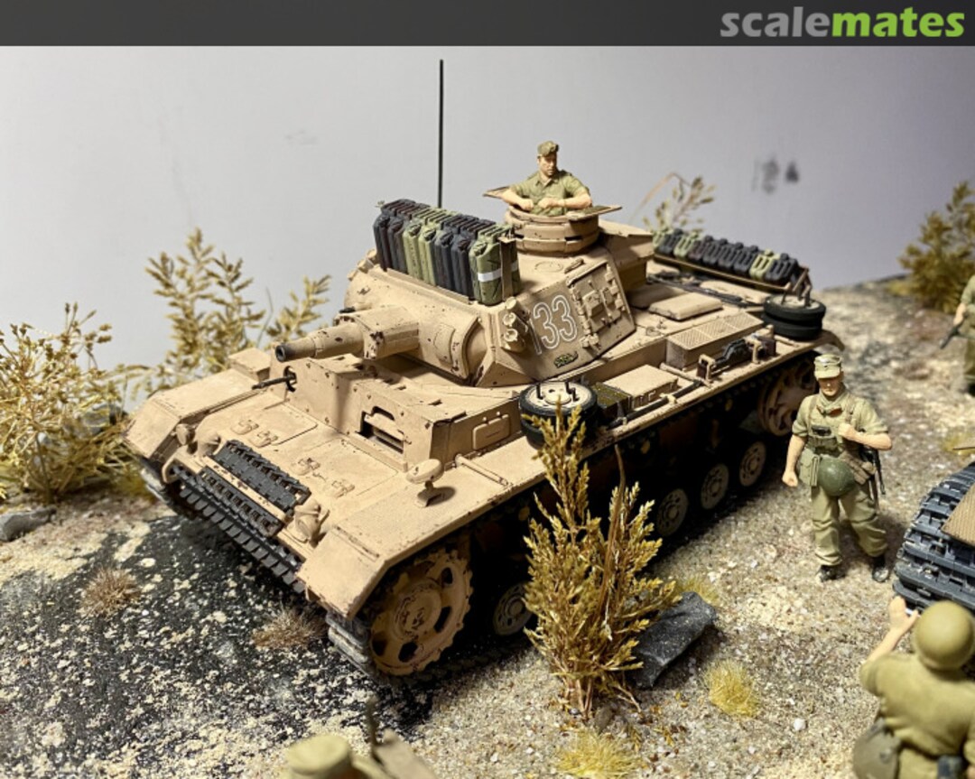 View album, image #49 View album, image #49