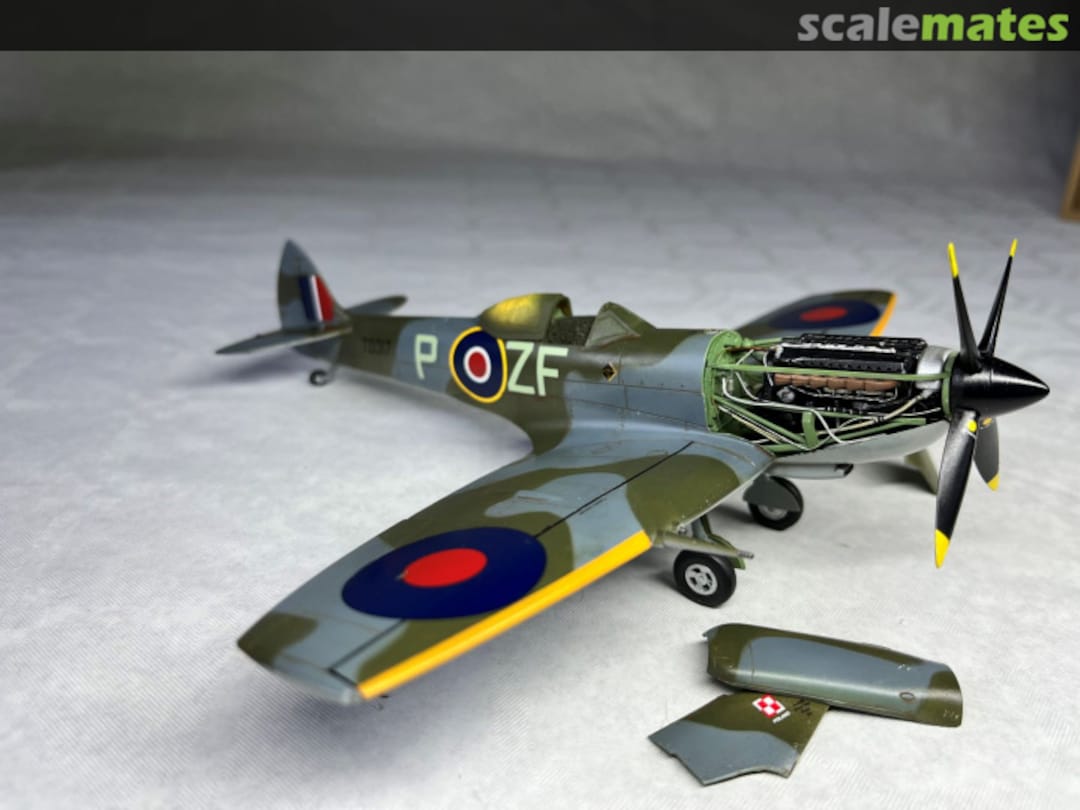 View album, image #1