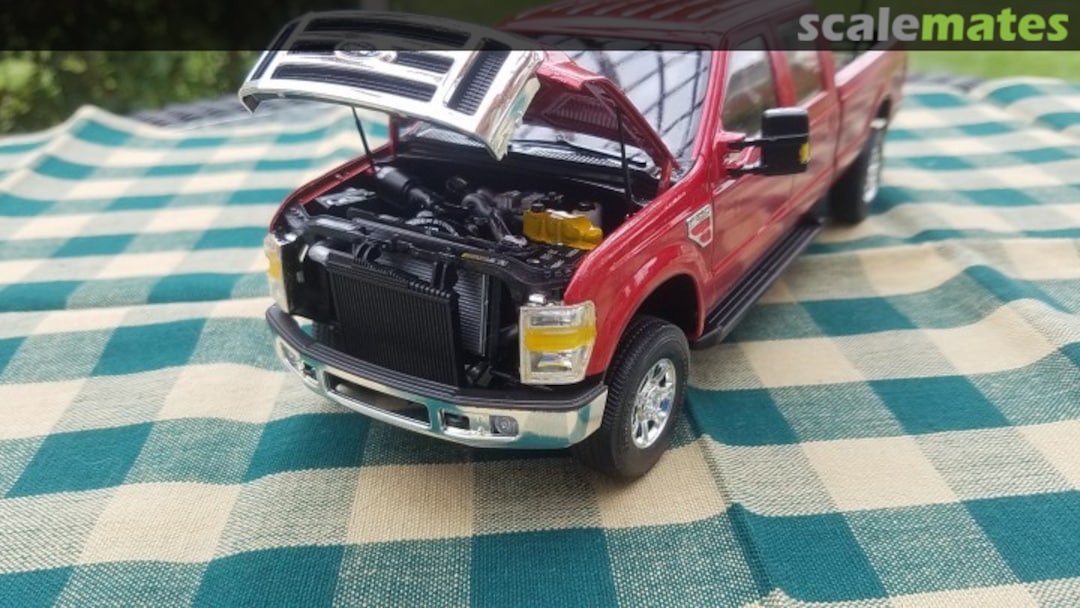 View album, image #1 View album, image #1