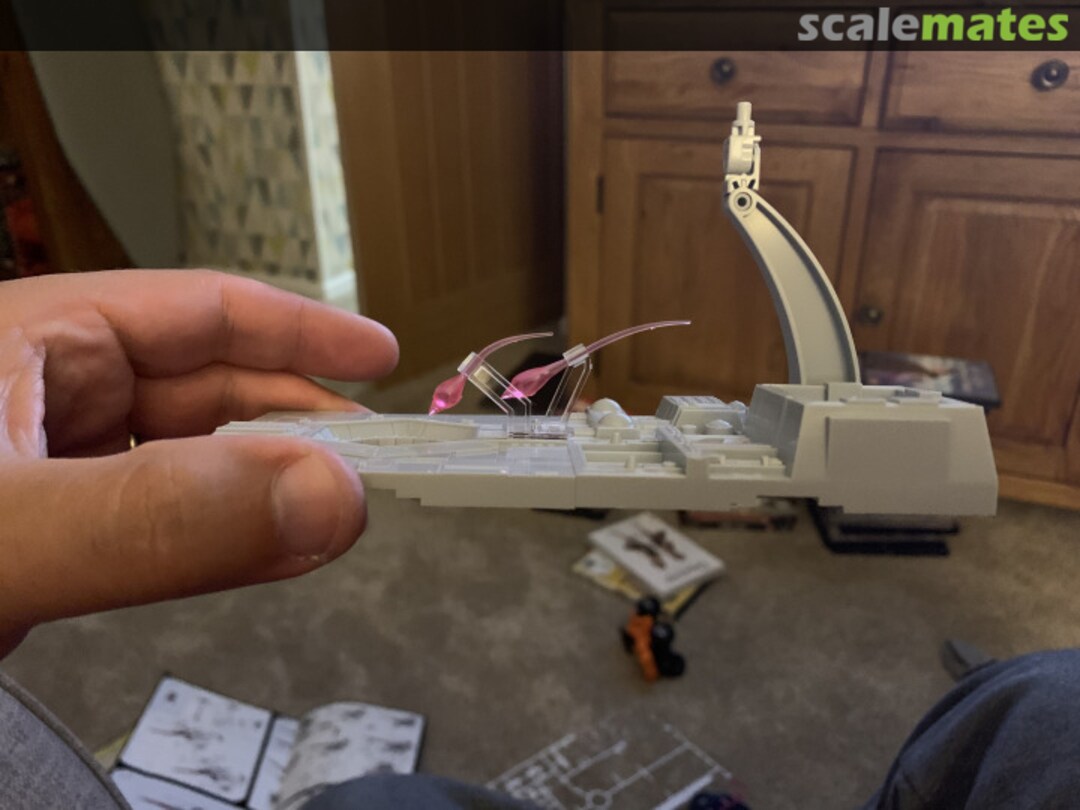 View album, image #9 View album, image #9