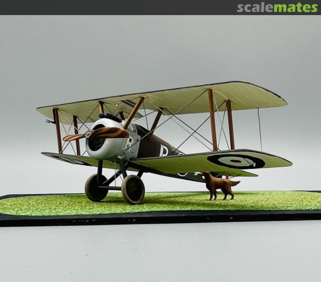 View album, image #75