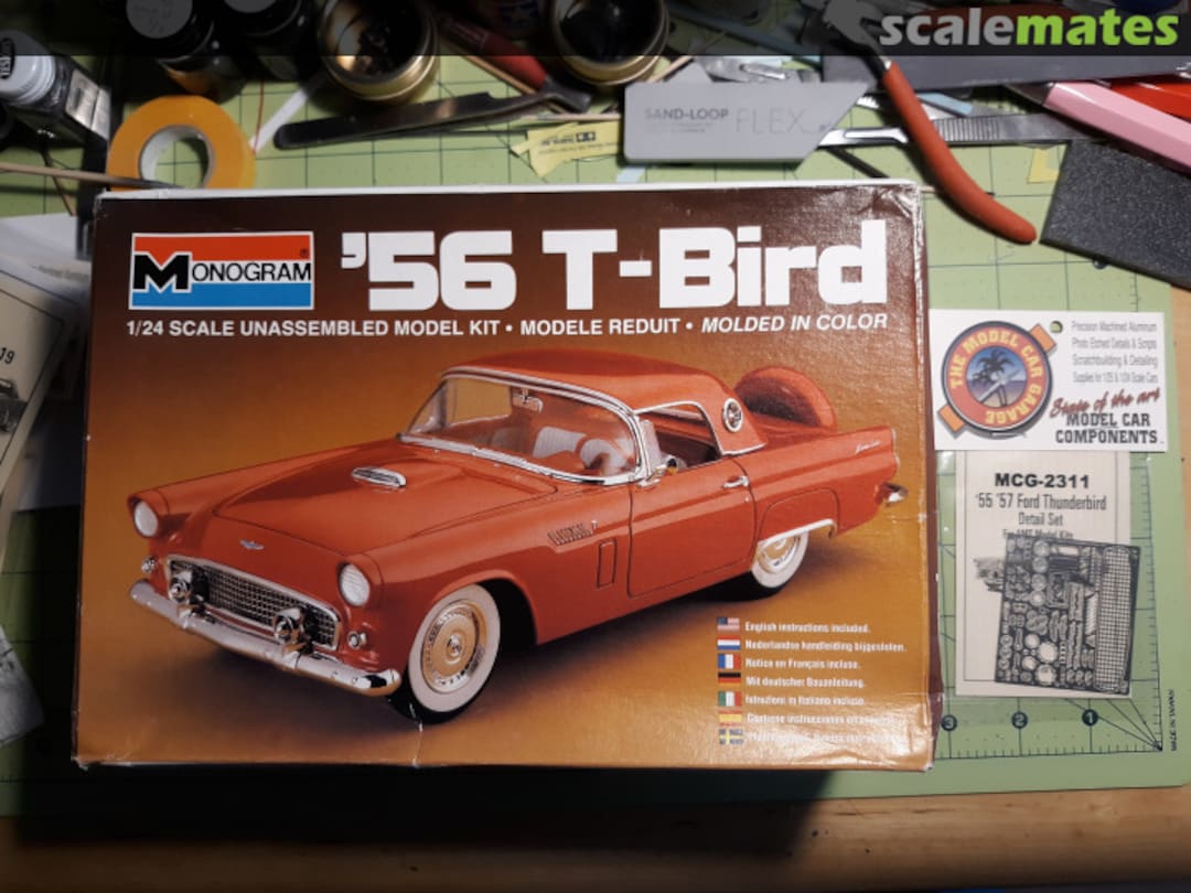 View album, image #1 View album, image #1