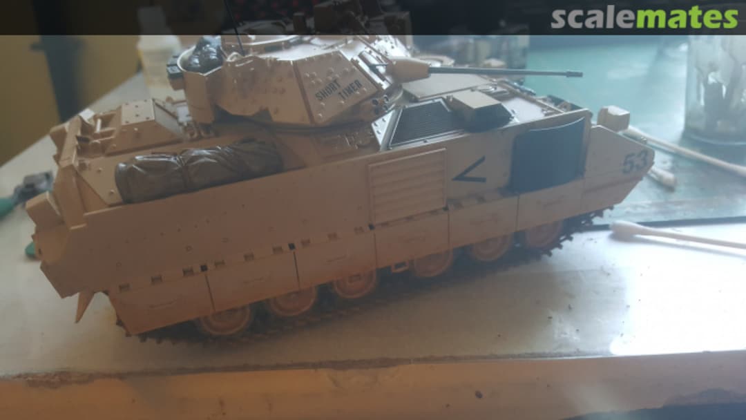 View album, image #1 View album, image #1