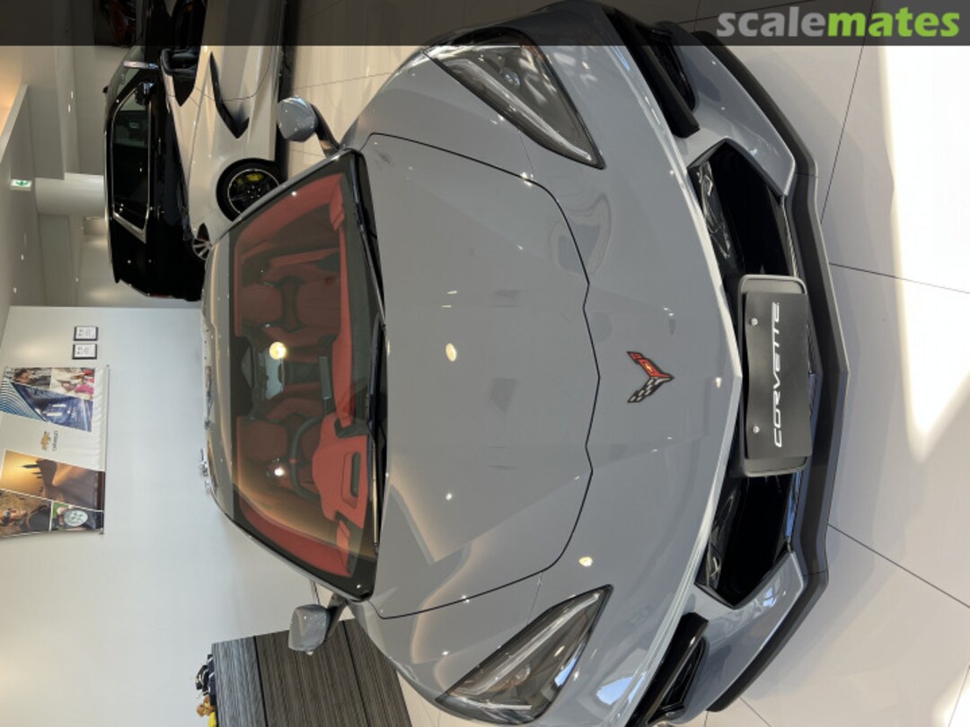 View album, image #1 View album, image #1