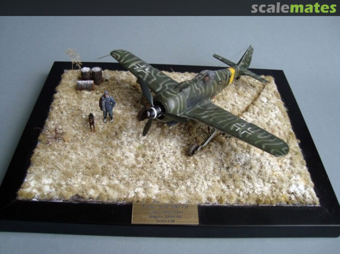 View album, image #2 View album, image #2