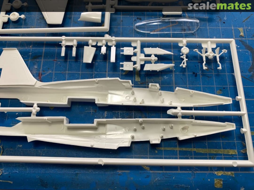 View album, image #1 View album, image #1