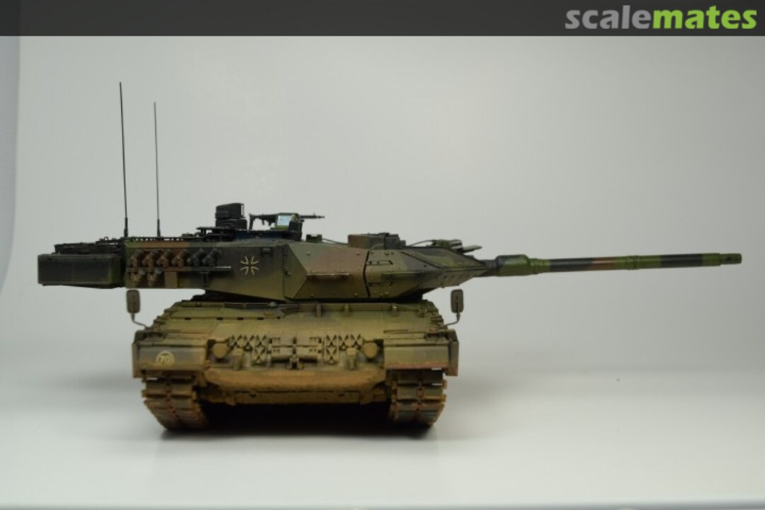 View album, image #1 View album, image #1