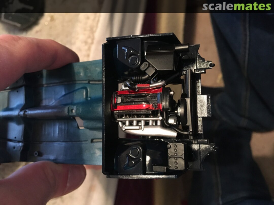 View album, image #1