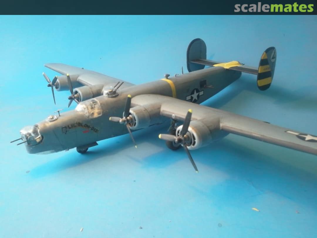 View album, image #1 View album, image #1