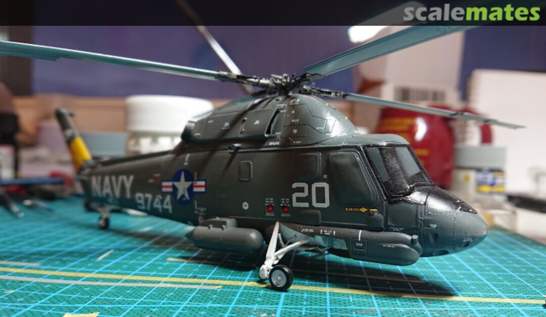 View album, image #17 View album, image #17