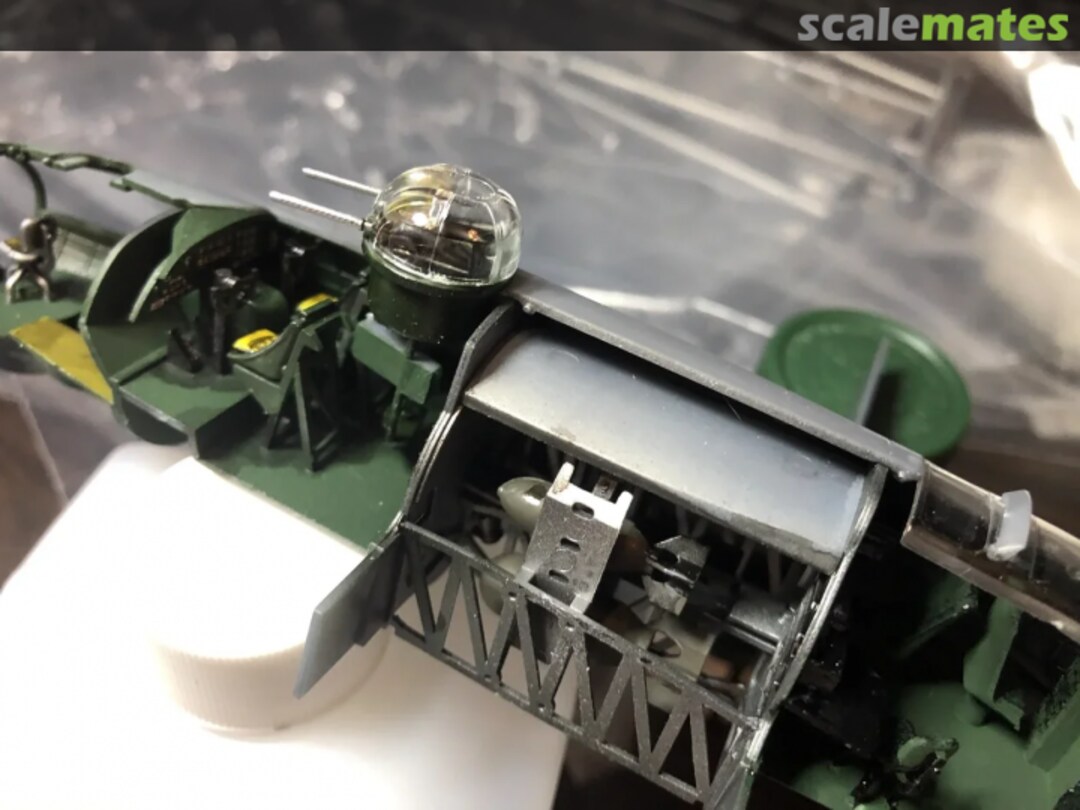 View album, image #4