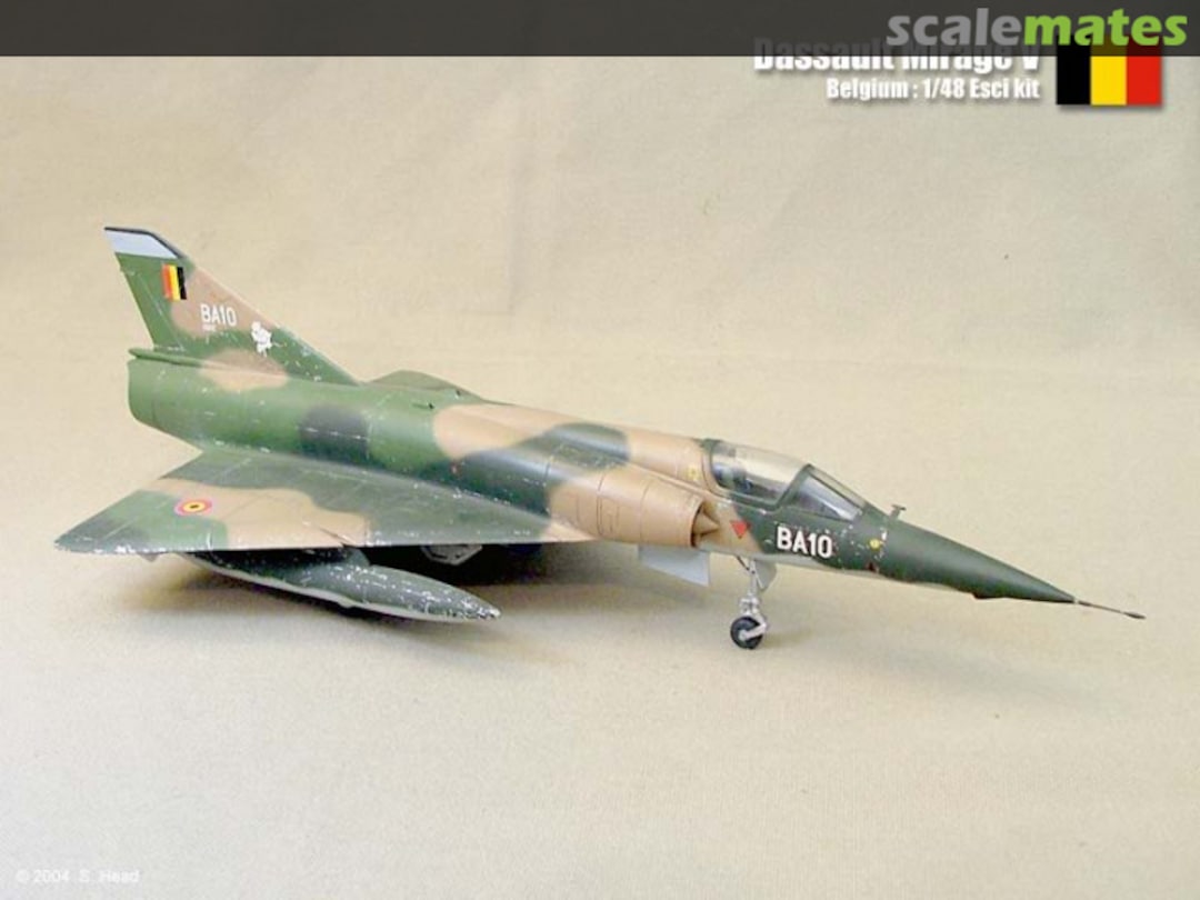 View album, image #1 View album, image #1