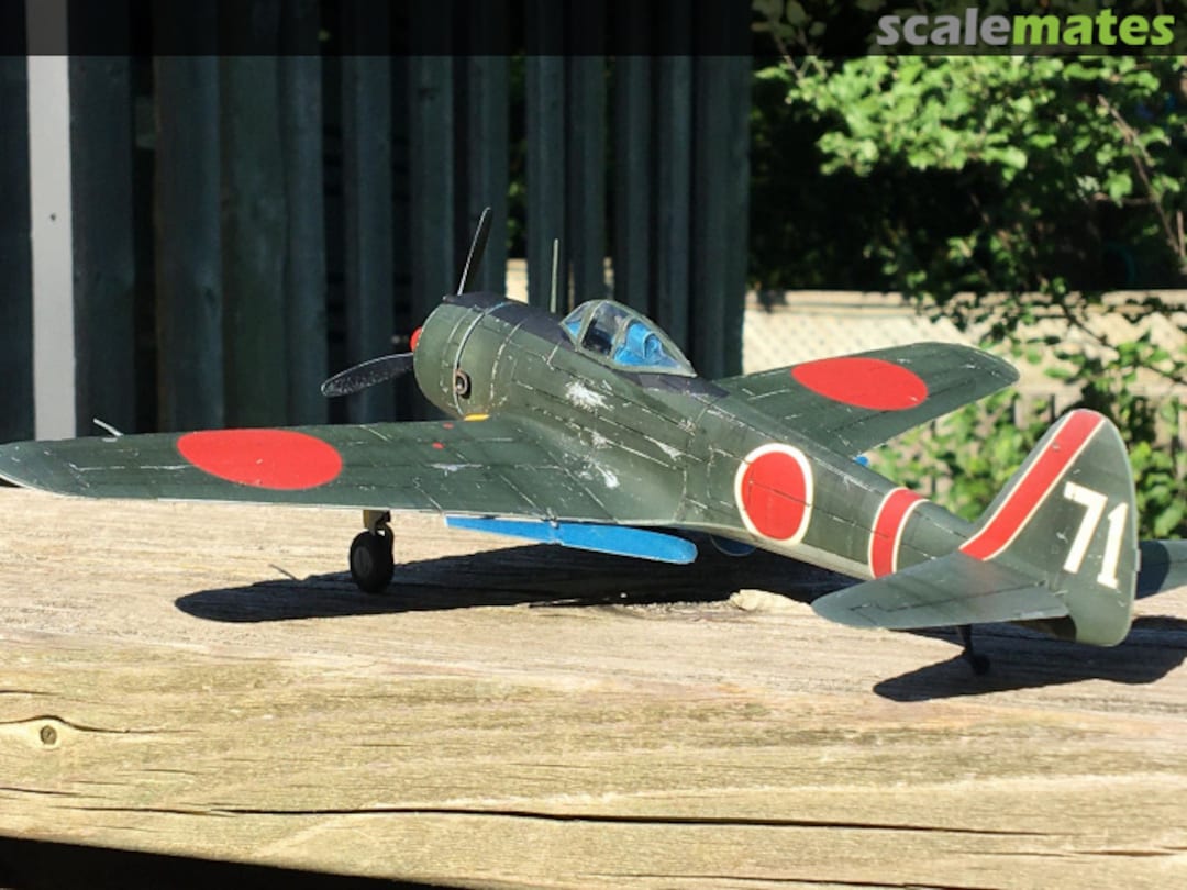 View album, image #47 View album, image #47