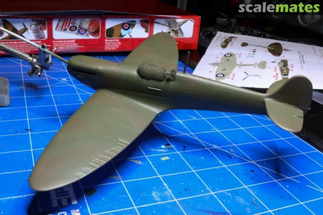 View album, image #1 View album, image #1