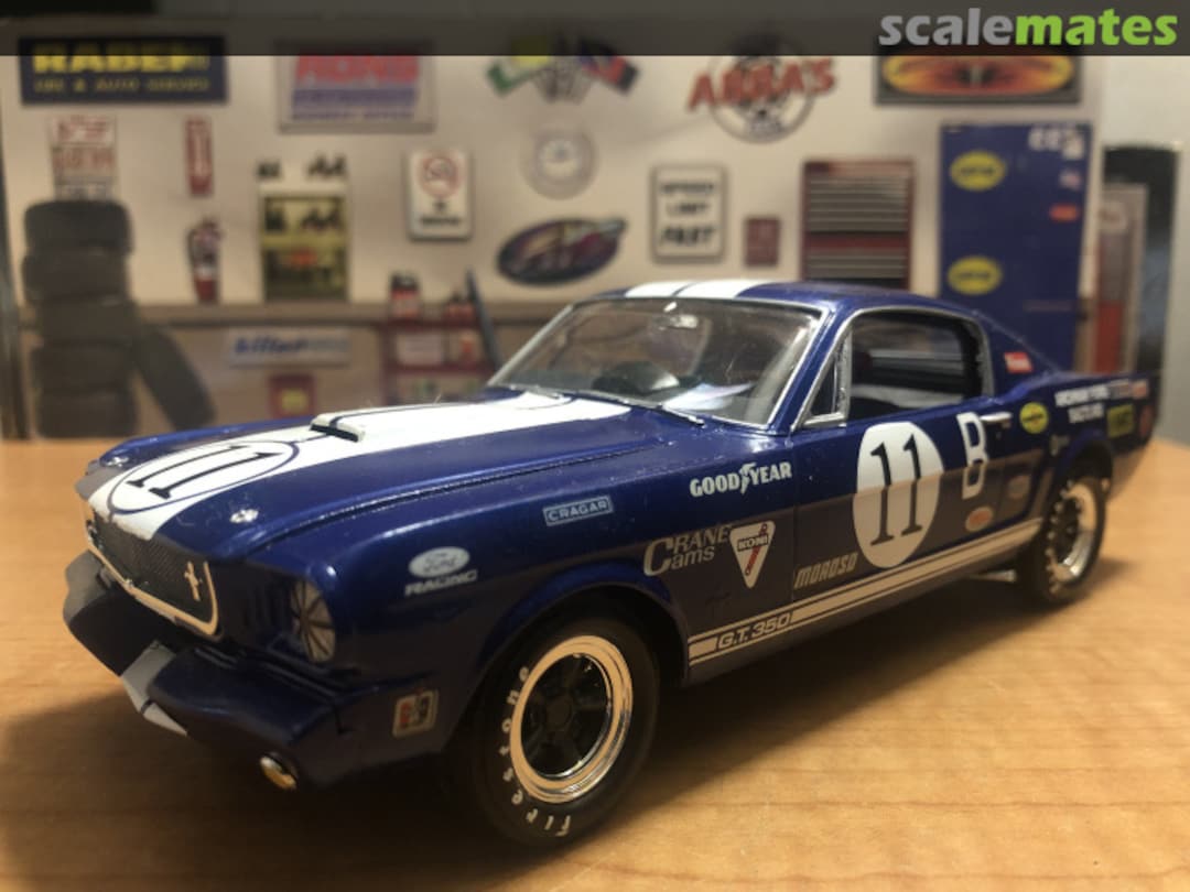 View album, image #2 View album, image #2