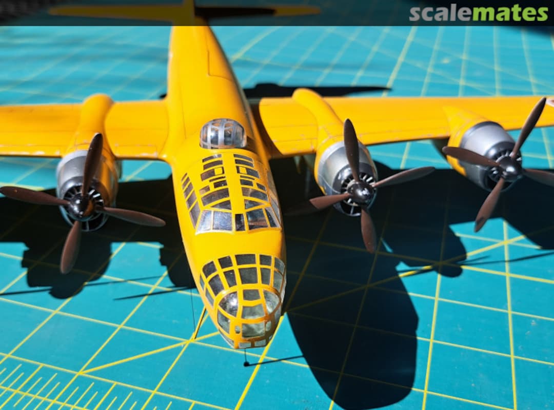 View album, image #4 View album, image #4