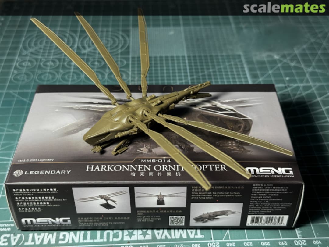 View album, image #4