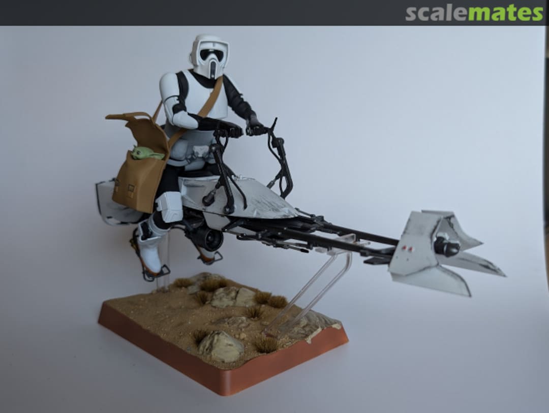 View album, image #37 View album, image #37