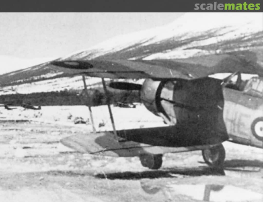 View album, image #1 View album, image #1