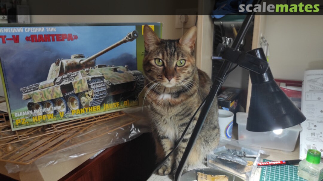 View album, image #2