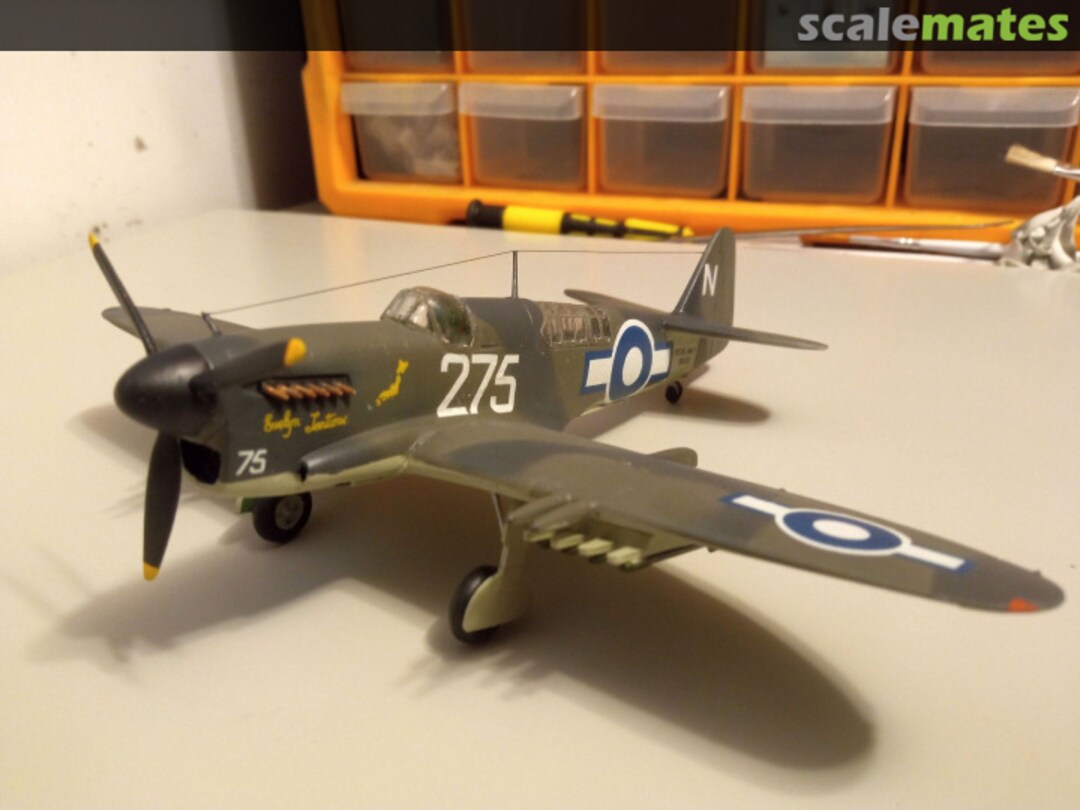 View album, image #8