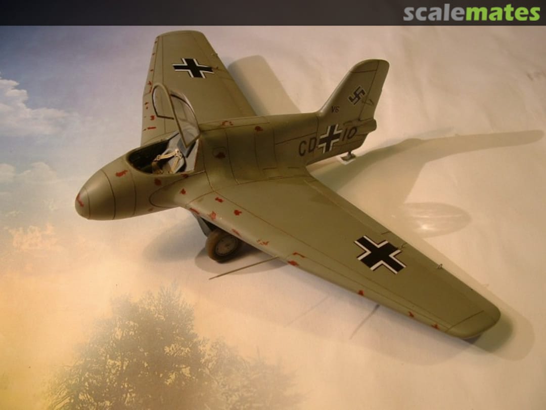 View album, image #1 View album, image #1