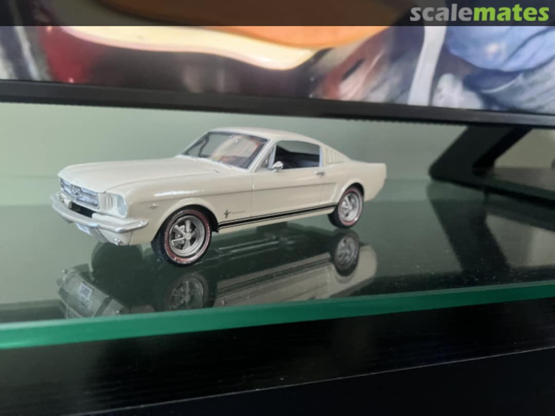 View album, image #1 View album, image #1