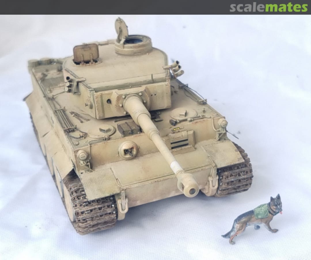 View album, image #1 View album, image #1