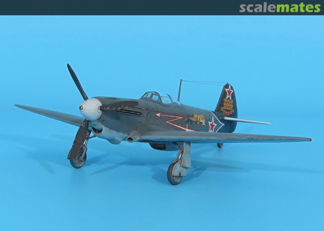 View album, image #1 View album, image #1