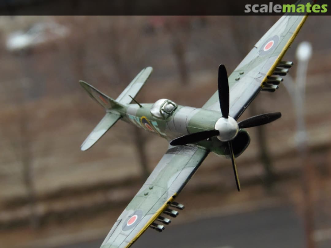 View album, image #1 View album, image #1