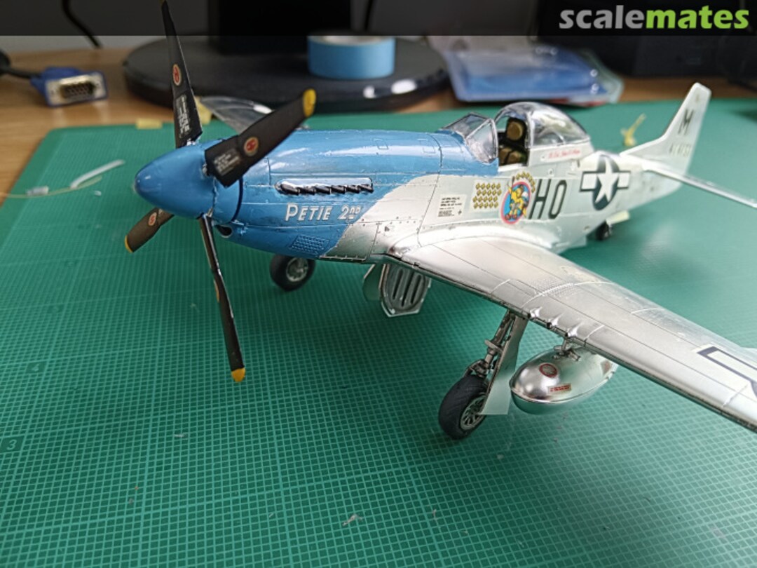 View album, image #16 View album, image #16