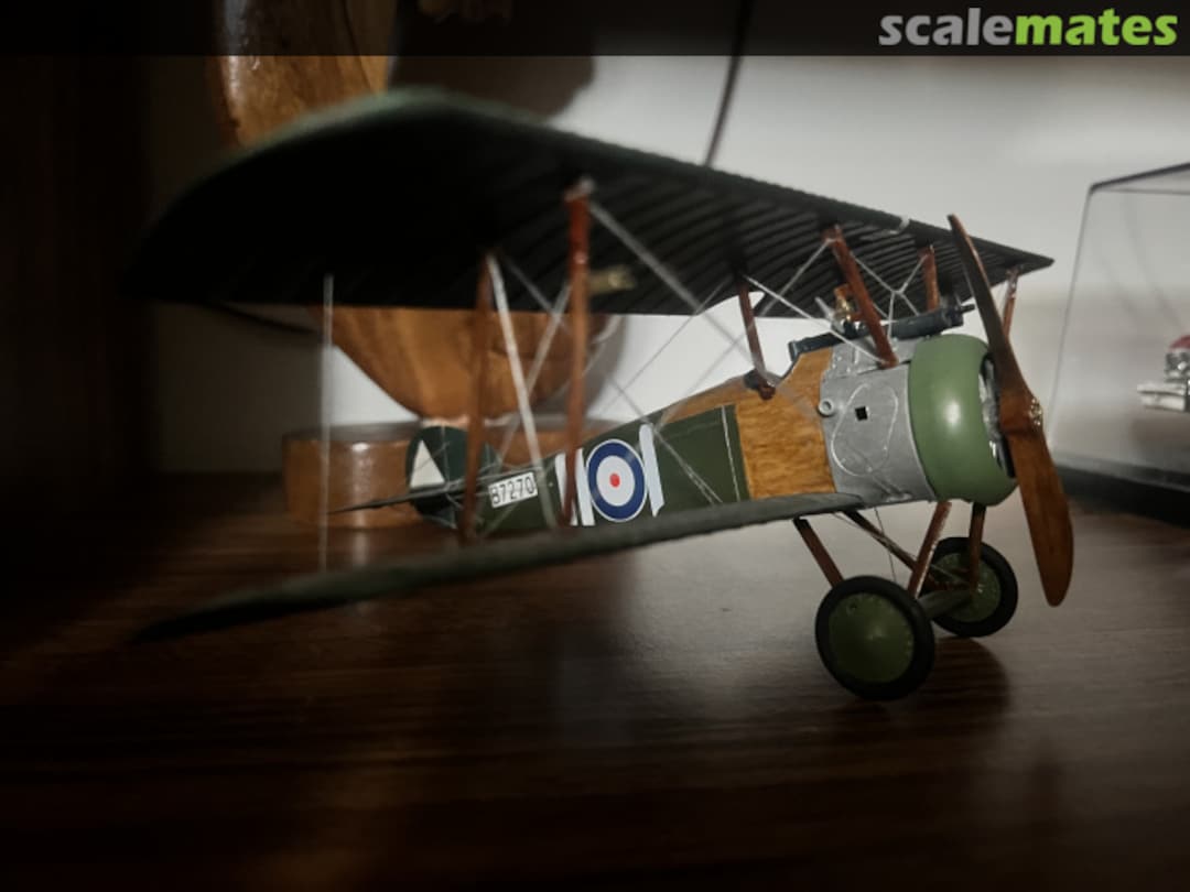 View album, image #1 View album, image #1