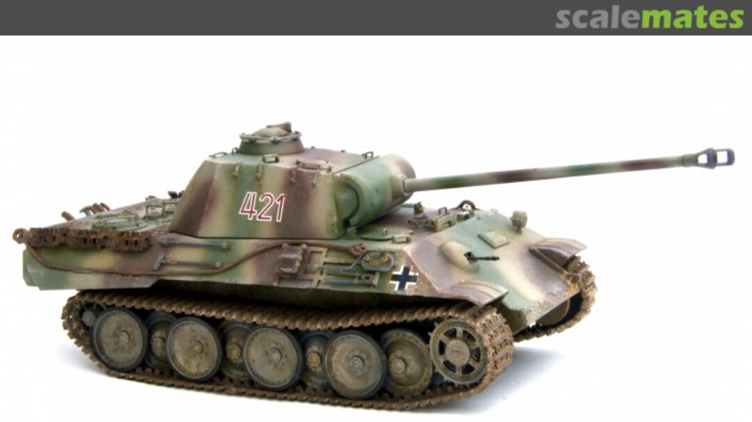 View album, image #1 View album, image #1