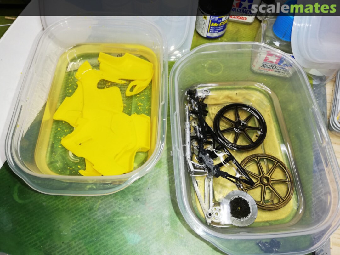 View album, image #1 View album, image #1