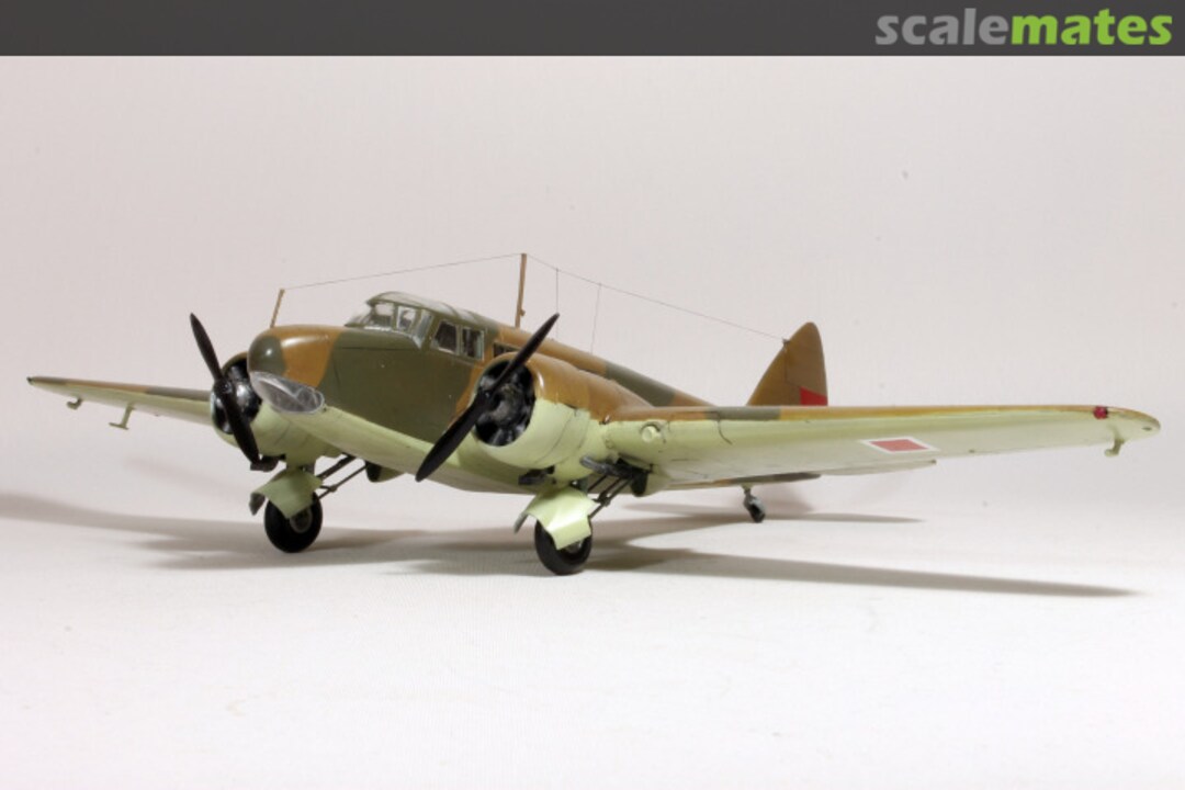 View album, image #1 View album, image #1