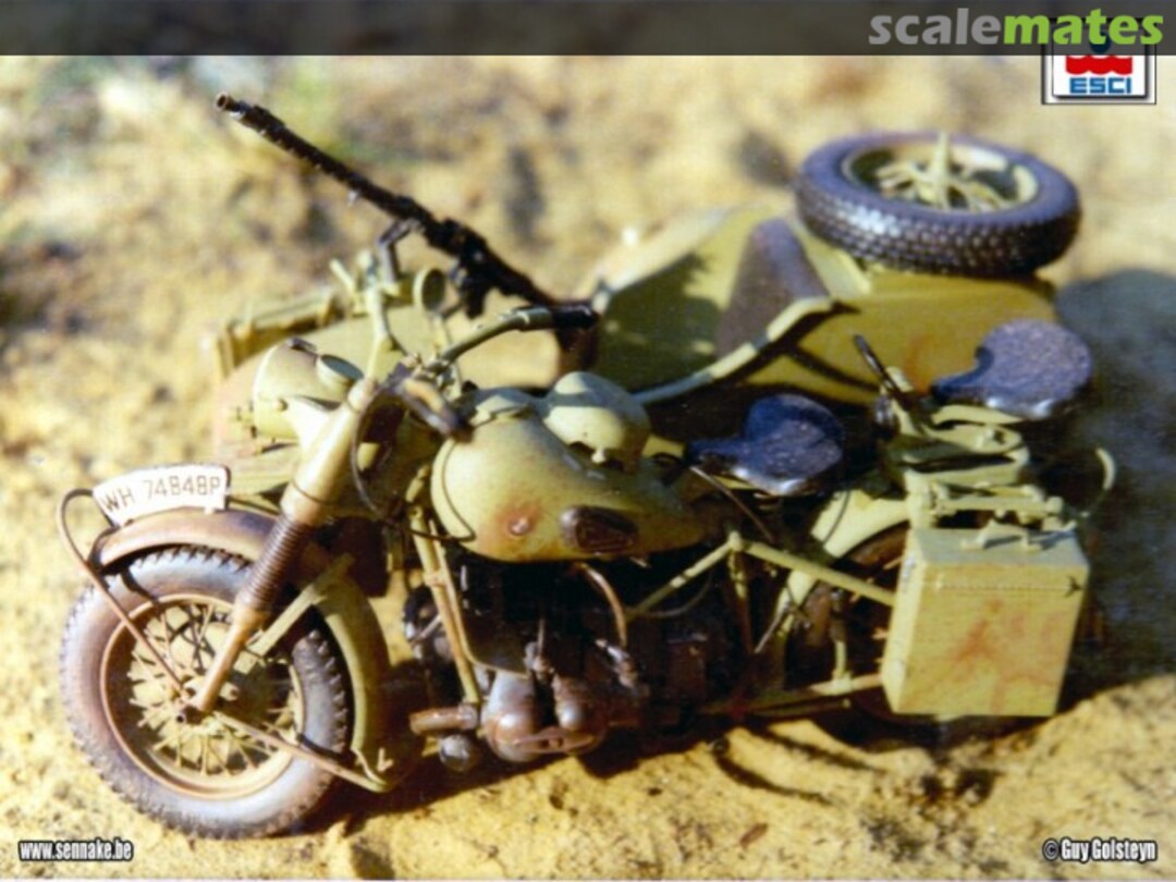 View album, image #1 View album, image #1