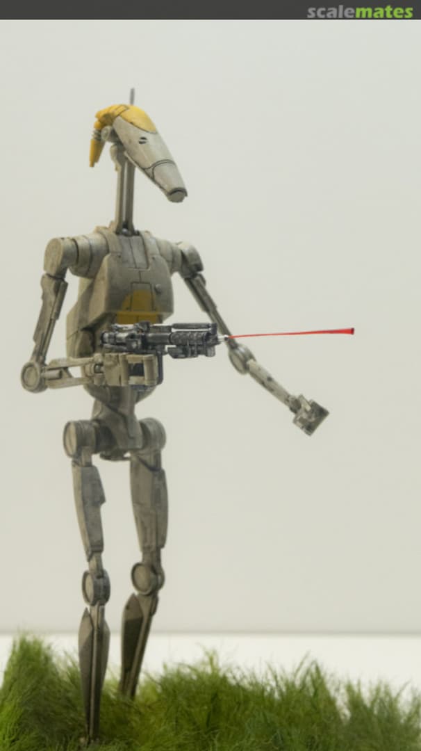 View album, image #1 View album, image #1