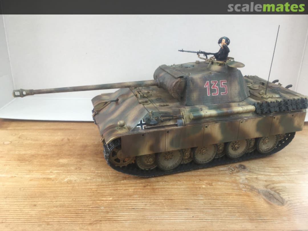 View album, image #12 View album, image #12